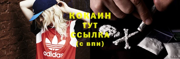 гидра Волосово