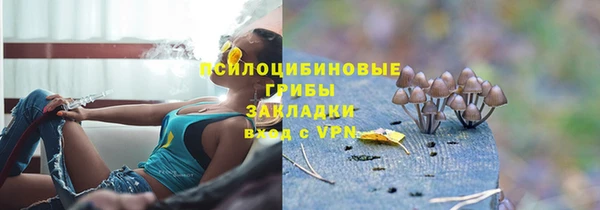 гидра Верея