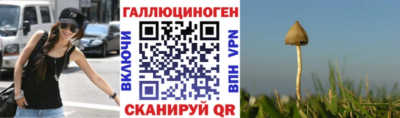 Псилоцибиновые грибы GOLDEN TEACHER blacksprut сайт Белгород купить